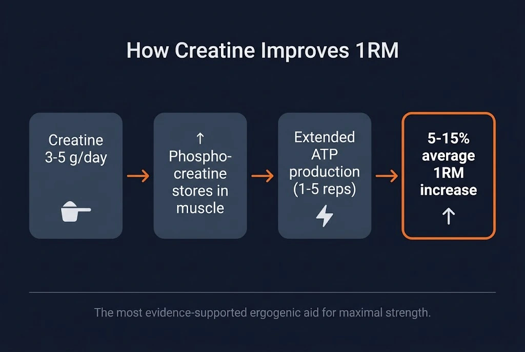 Diagram showing how creatine supplementation increases phosphocreatine stores in muscle, which extends maximal ATP production during 1 to 5 rep maximal efforts, resulting in a 5 to 15 percent average 1RM improvement. Image title: How Creatine Improves 1RM Performance