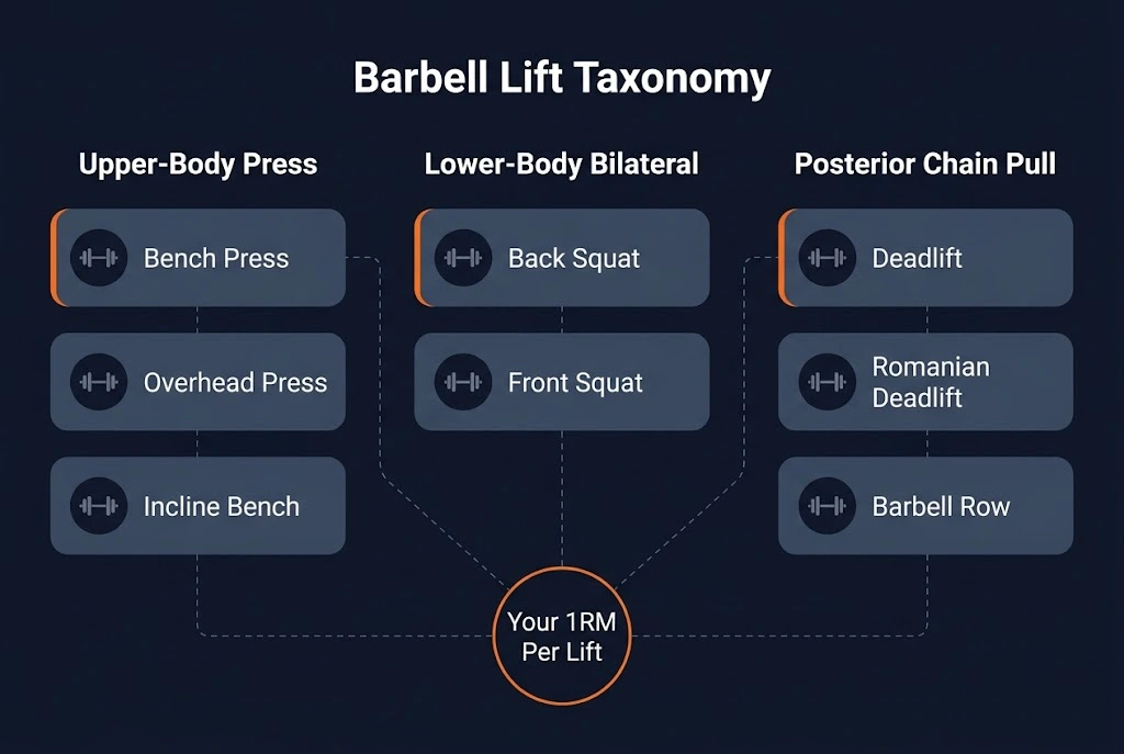Diagram categorising the six major barbell lifts by movement pattern: upper-body pressing (bench, OHP, incline), lower-body bilateral (squat, front squat), posterior chain pull (deadlift, RDL, barbell row), showing why each lift has its own independent 1RM.