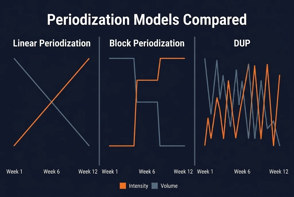 Side-by-side comparison chart of three periodization models — linear periodization, block periodization, and daily undulating periodization — showing how volume and intensity vary across a 12-week training cycle in each model.