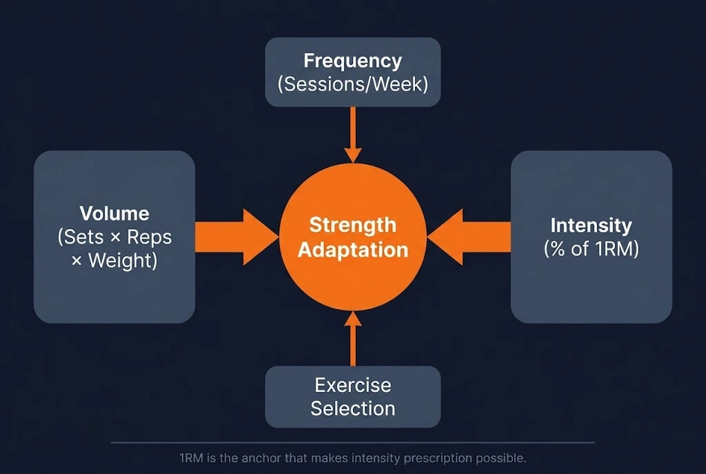 Concept diagram showing the four primary strength training programming variables — volume, intensity, frequency, and exercise selection — and how they interact to produce a training stimulus and resulting strength adaptation.
