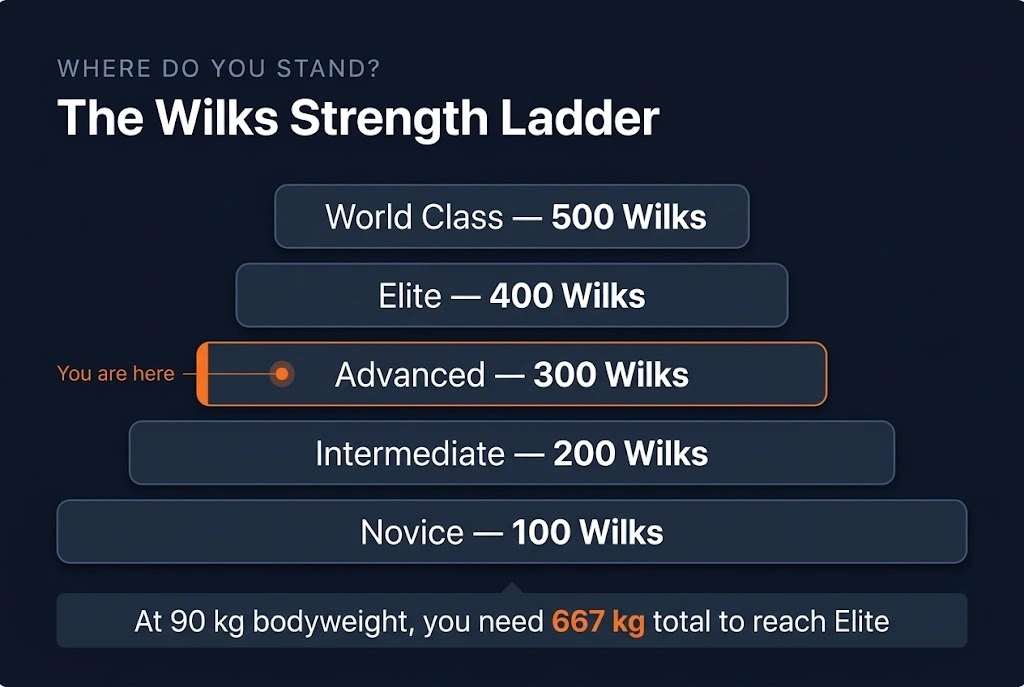 Wilks score strength ladder showing the five level thresholds from Novice to World Class, with the Advanced level highlighted.