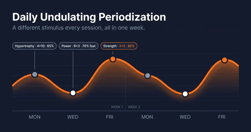daily undulating periodization weekly training wave