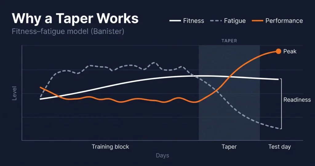 fitness fatigue model showing why a taper raises 1RM performance
