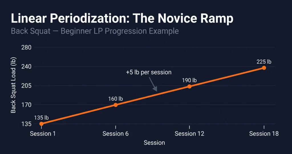 linear periodization weight progression chart for beginners