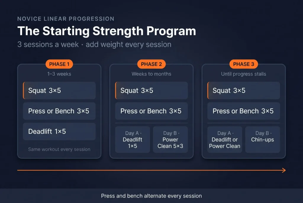 Starting Strength program phases overview showing Phase 1, Phase 2 with power cleans and Phase 3 with chin-ups, all built on squat and press or bench 3x5
